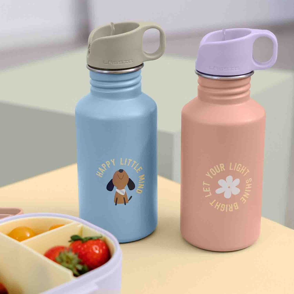 Lässig Trinkflasche 0,5 Liter Edelstahl Party Rose Lilac