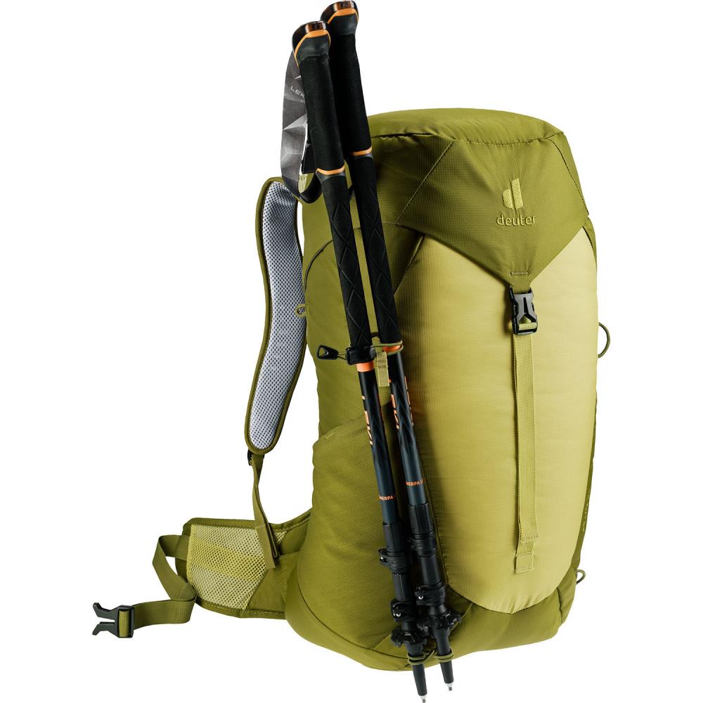 Deuter AC Lite 30 Linden-Cactus Wanderrucksack