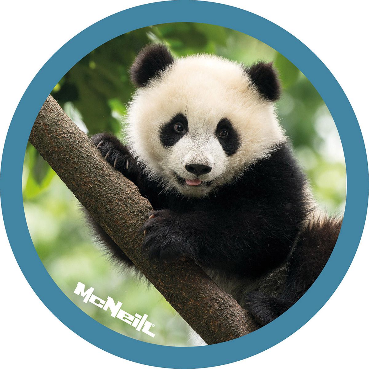 McNeill McAddy Dschungel Panda