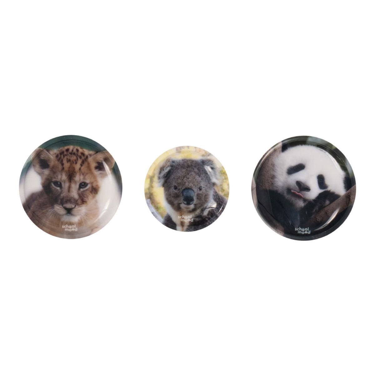 School Mood Patchy Set 3tlg. Tierkinder