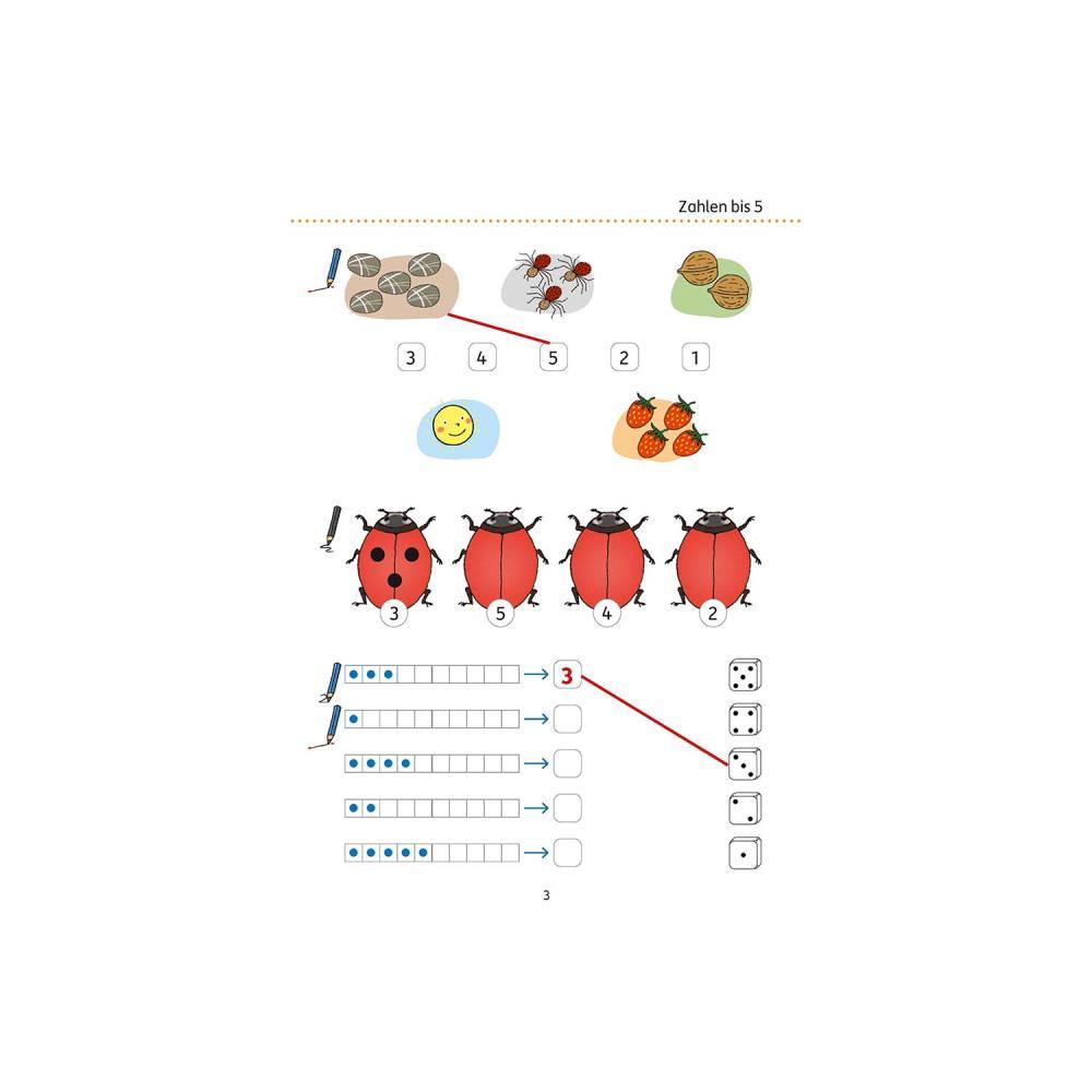 Hauschkaverlag Rechnen 1 Band 431