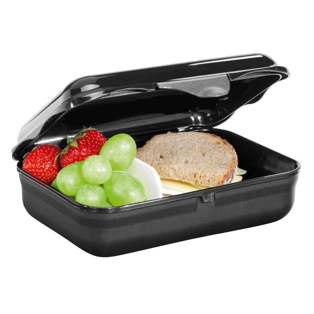 Step by Step Lunchbox Wild Cat Chiko