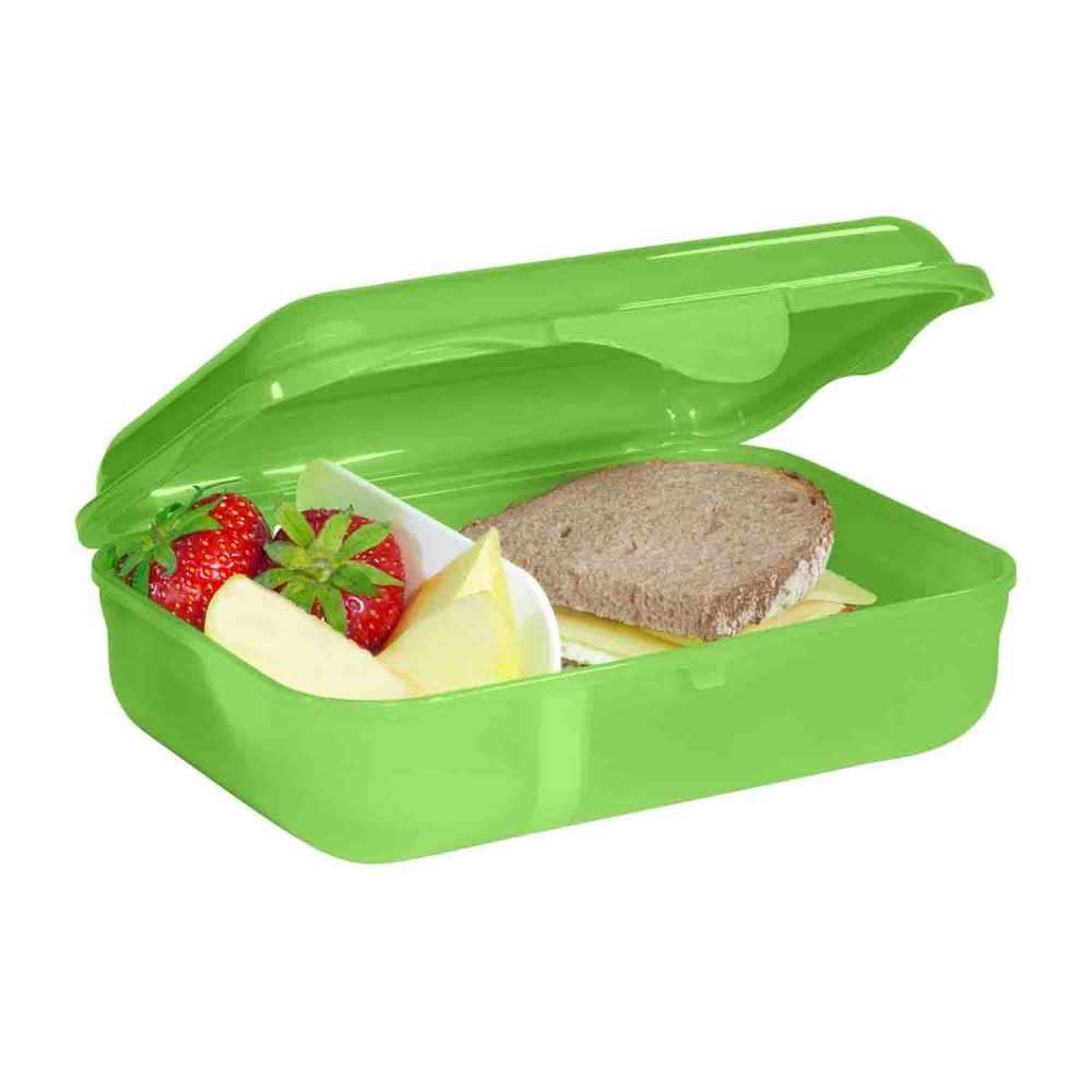 Step by Step Lunchbox Dino Targo