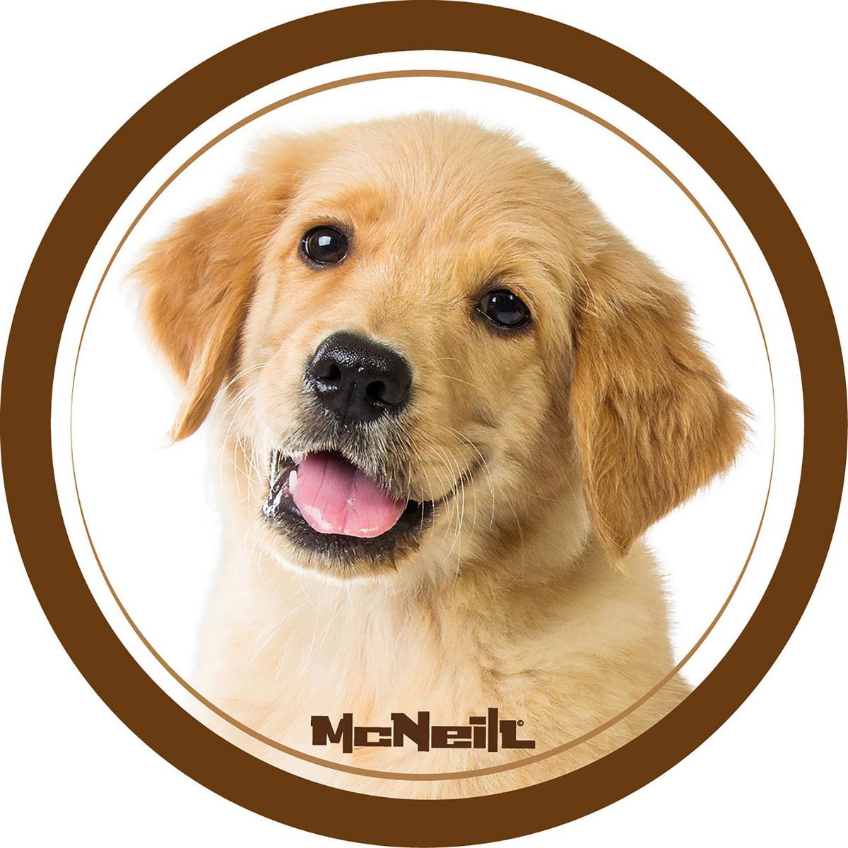 McNeill McAddy Haustiere Hund Braun