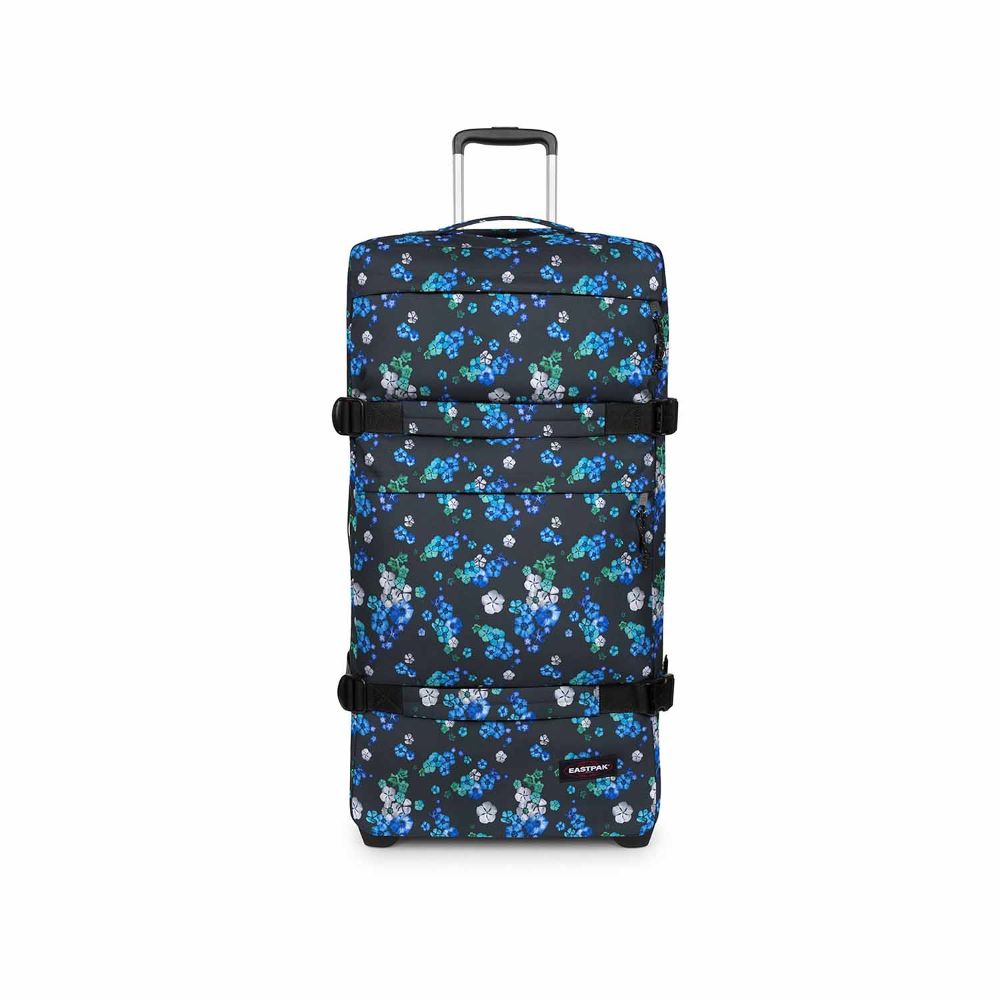 Transit'r Plus L Authentic Contemporary Floral Bloom Black