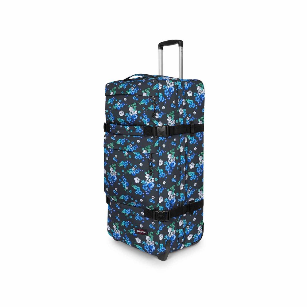 Transit'r Plus L Authentic Contemporary Floral Bloom Black